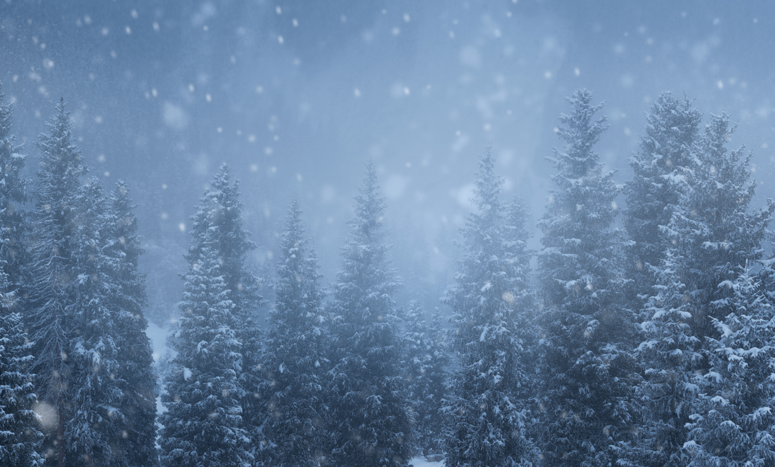 世界顶级哲学家对生命的42个经典诠释，每一句都超启智！(图3)