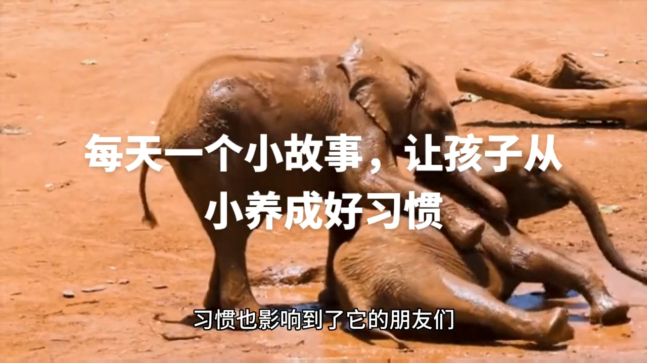 宝宝成长故事：养成好习惯(图4)