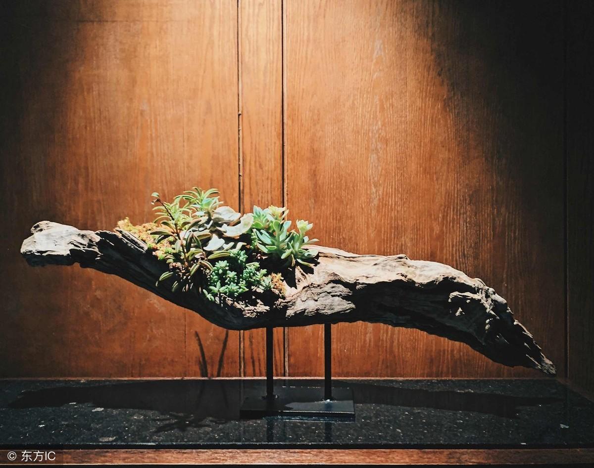 心学大师王阳明最经典的两句话，读懂了，人生道路会越来越宽！(图1)