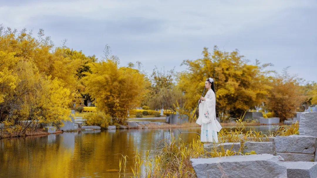 王阳明五首哲理诗，内藏心学智慧，开悟人心(图3)