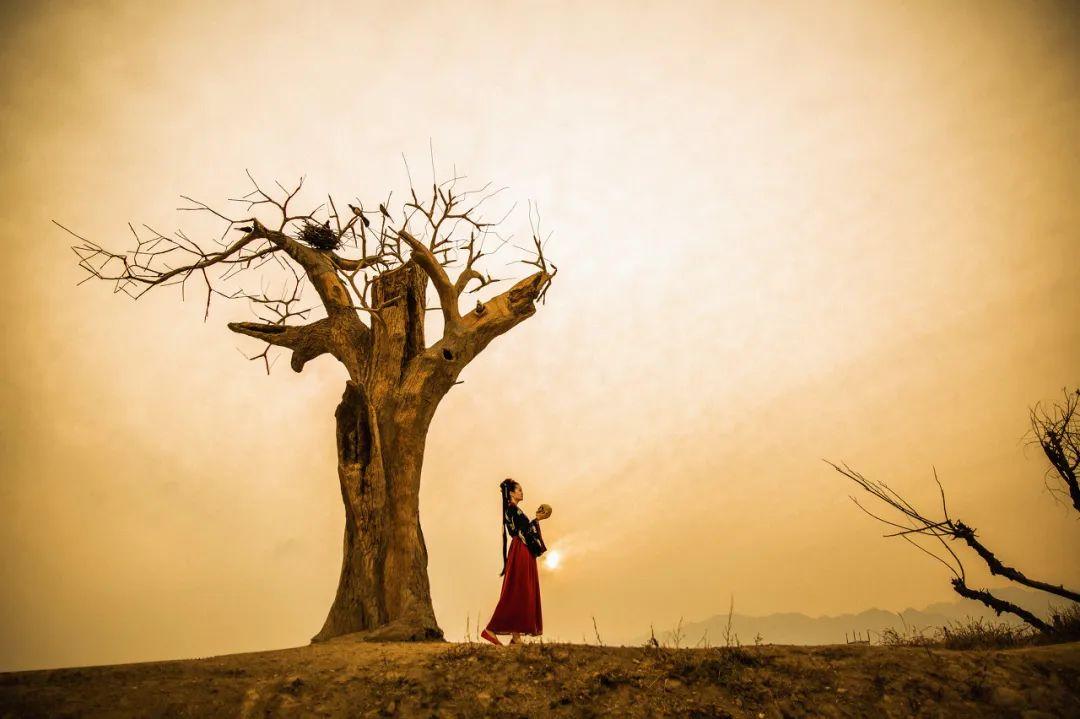 王阳明五首哲理诗，内藏心学智慧，开悟人心(图5)