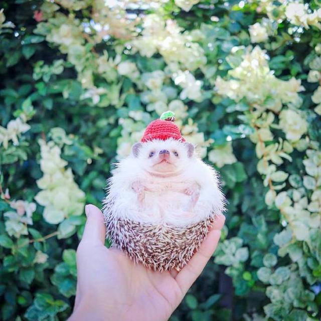 努力改变自己的正能量句子，阳光向上，激励人心(图1)