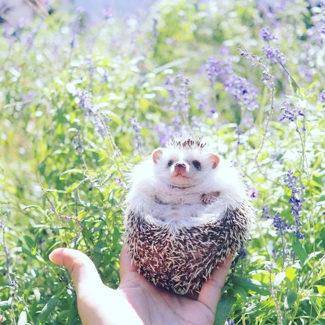 努力改变自己的正能量句子，阳光向上，激励人心(图2)