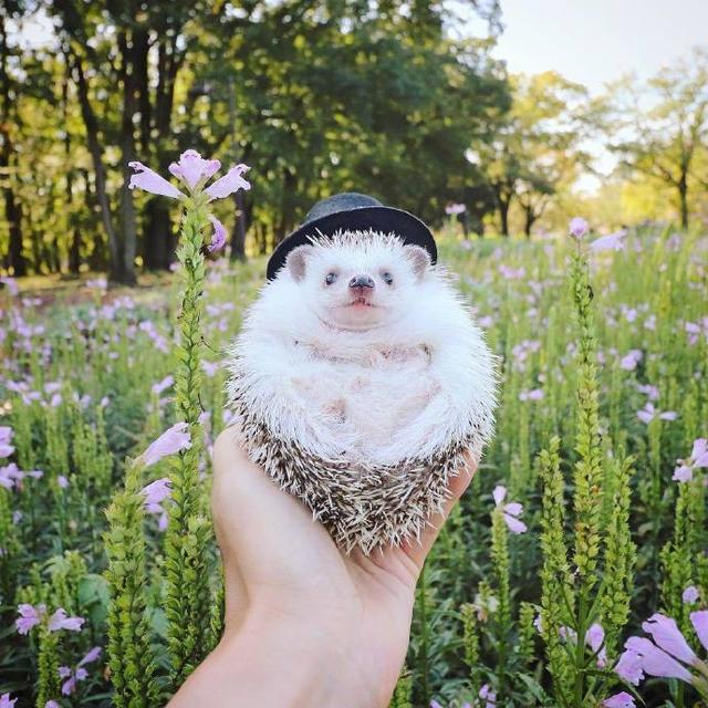 努力改变自己的正能量句子，阳光向上，激励人心(图3)