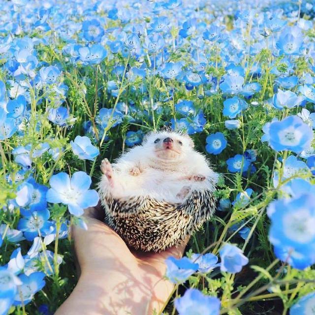 努力改变自己的正能量句子，阳光向上，激励人心(图5)