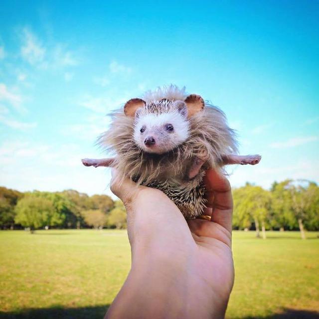 努力改变自己的正能量句子，阳光向上，激励人心(图6)