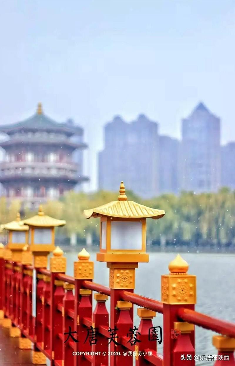 风花雪月自风雅，满心欢喜，一朝雪落，西安秒变长安(图13)