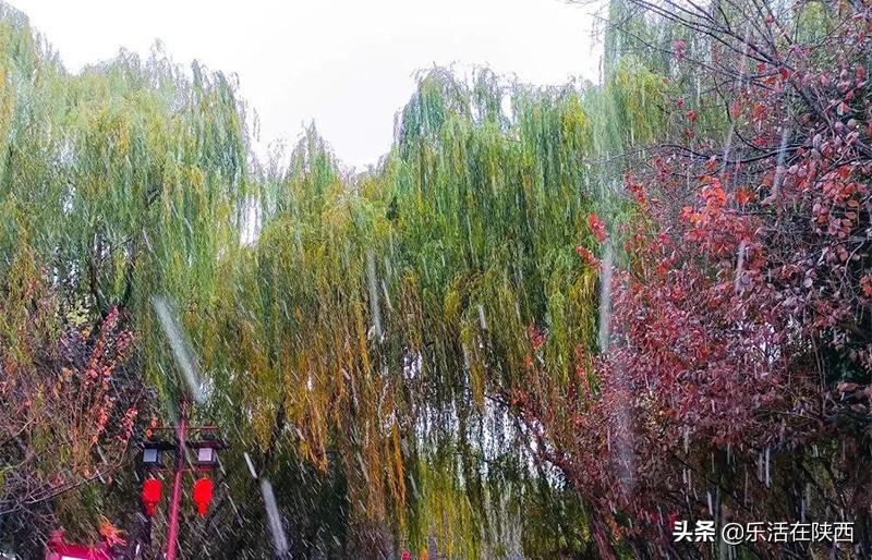 风花雪月自风雅，满心欢喜，一朝雪落，西安秒变长安(图14)