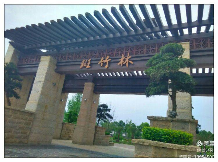 乐 游 斑 竹 林（原创）(图1)