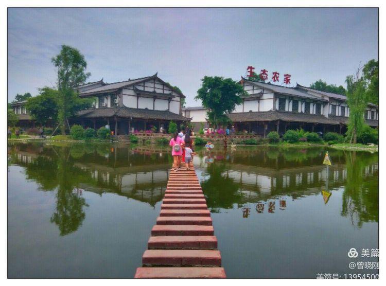 乐 游 斑 竹 林（原创）(图2)