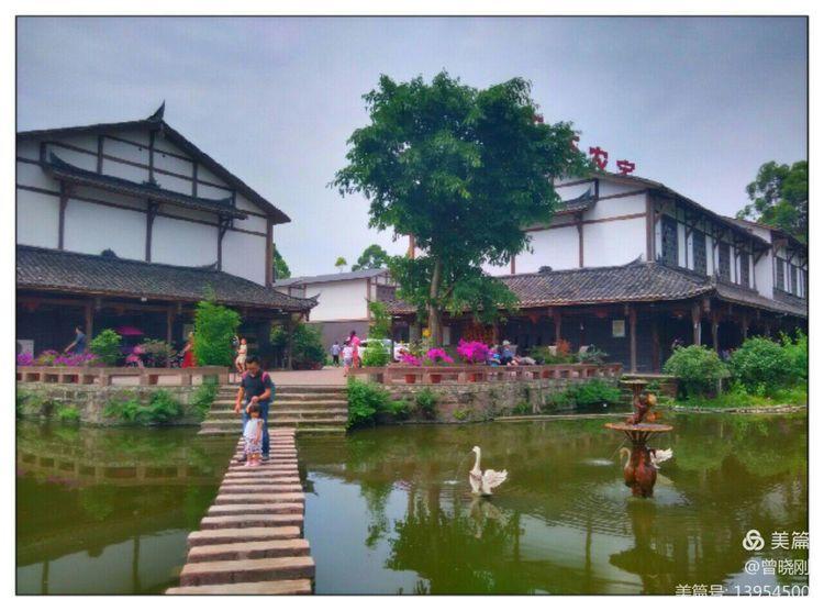 乐 游 斑 竹 林（原创）(图3)