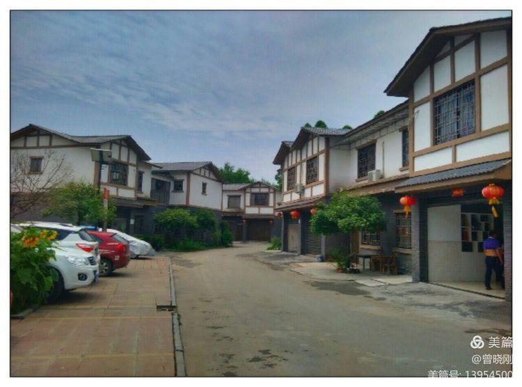 乐 游 斑 竹 林（原创）(图4)