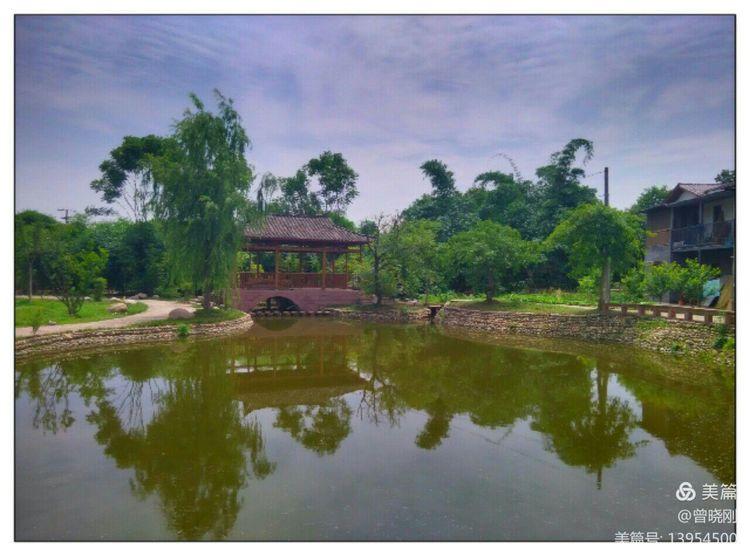 乐 游 斑 竹 林（原创）(图5)