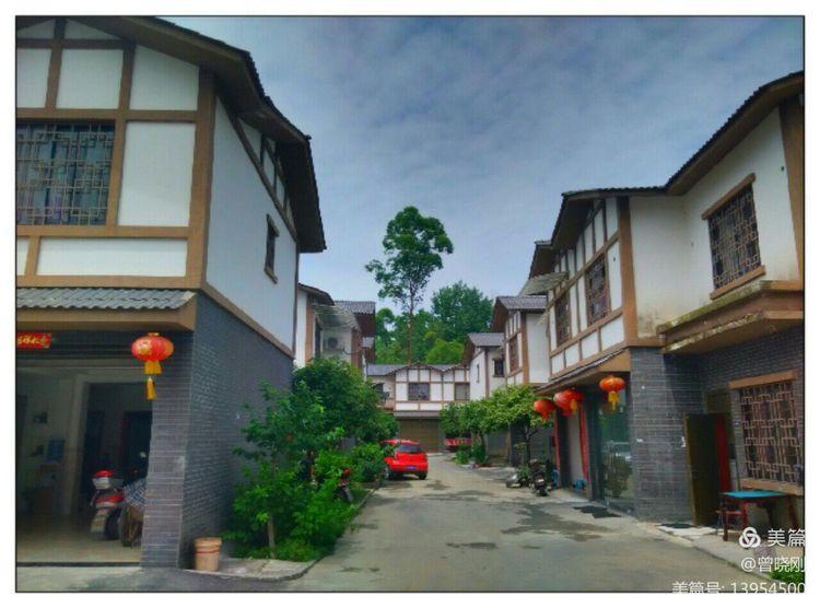 乐 游 斑 竹 林（原创）(图6)