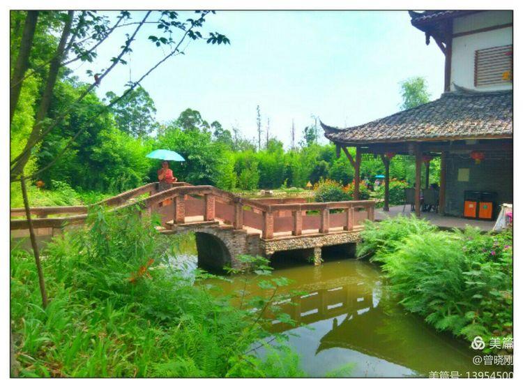 乐 游 斑 竹 林（原创）(图7)