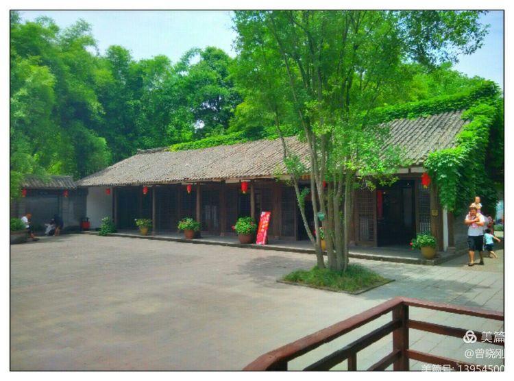 乐 游 斑 竹 林（原创）(图10)