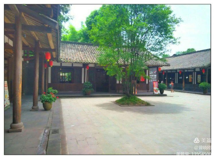 乐 游 斑 竹 林（原创）(图11)