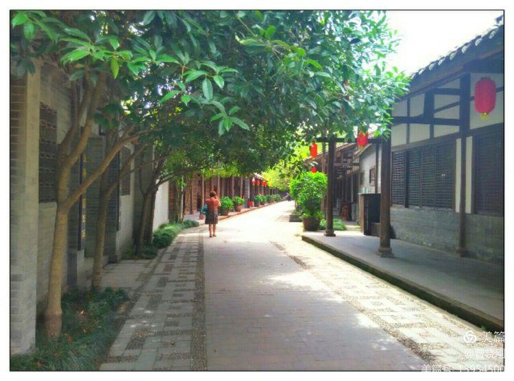 乐 游 斑 竹 林（原创）(图12)