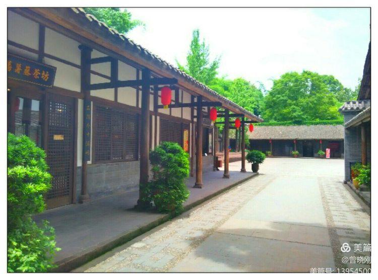 乐 游 斑 竹 林（原创）(图13)