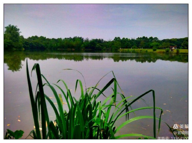 乐 游 斑 竹 林（原创）(图16)