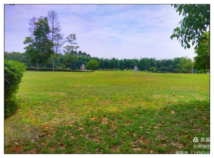 乐 游 斑 竹 林（原创）(图21)