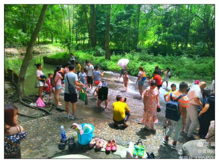 乐 游 斑 竹 林（原创）(图25)