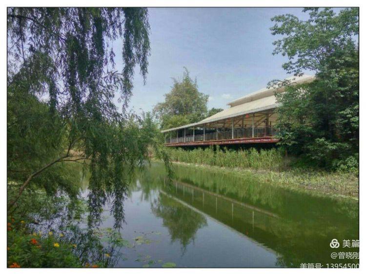 乐 游 斑 竹 林（原创）(图26)