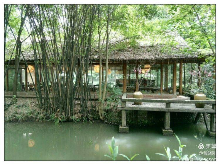 乐 游 斑 竹 林（原创）(图27)