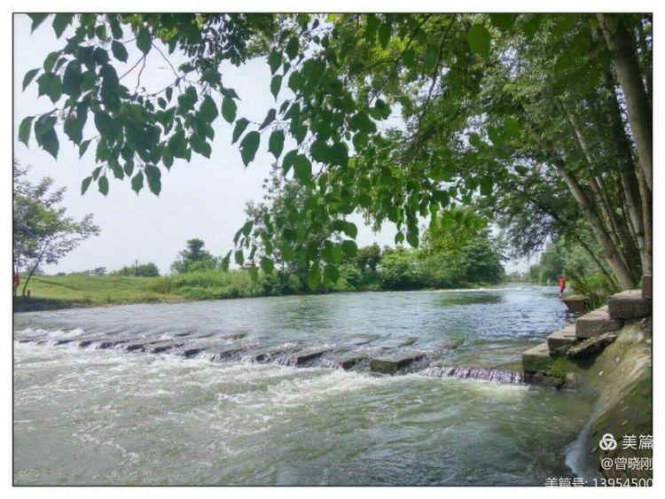 乐 游 斑 竹 林（原创）(图28)