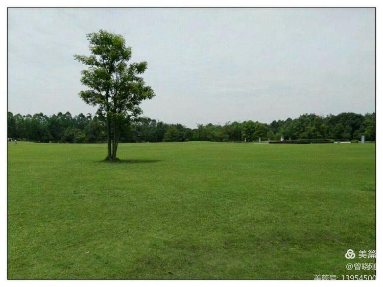 乐 游 斑 竹 林（原创）(图29)