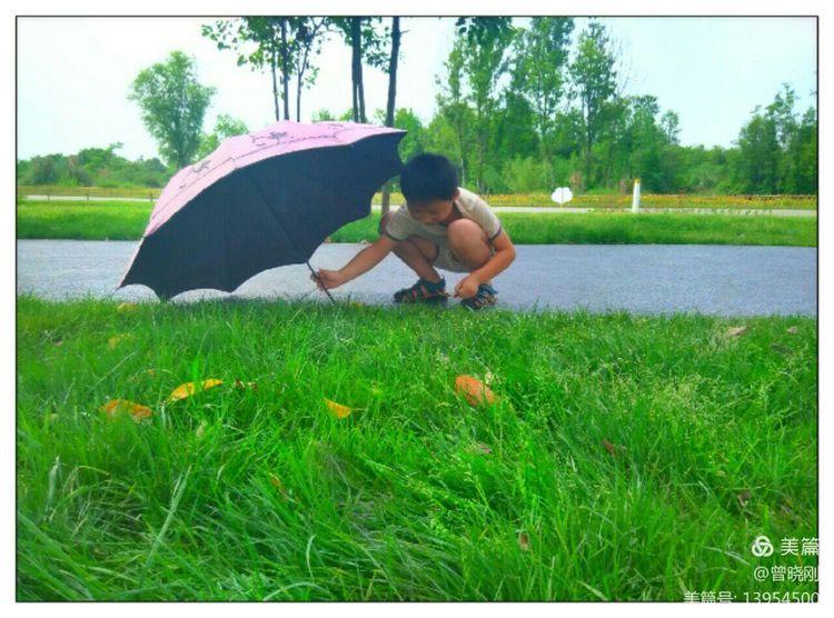 乐 游 斑 竹 林（原创）(图31)