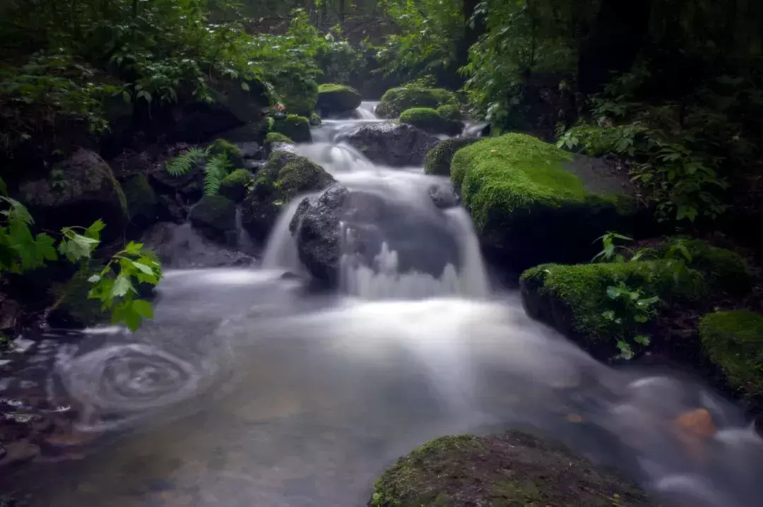 林中小溪——邵长武(图1)