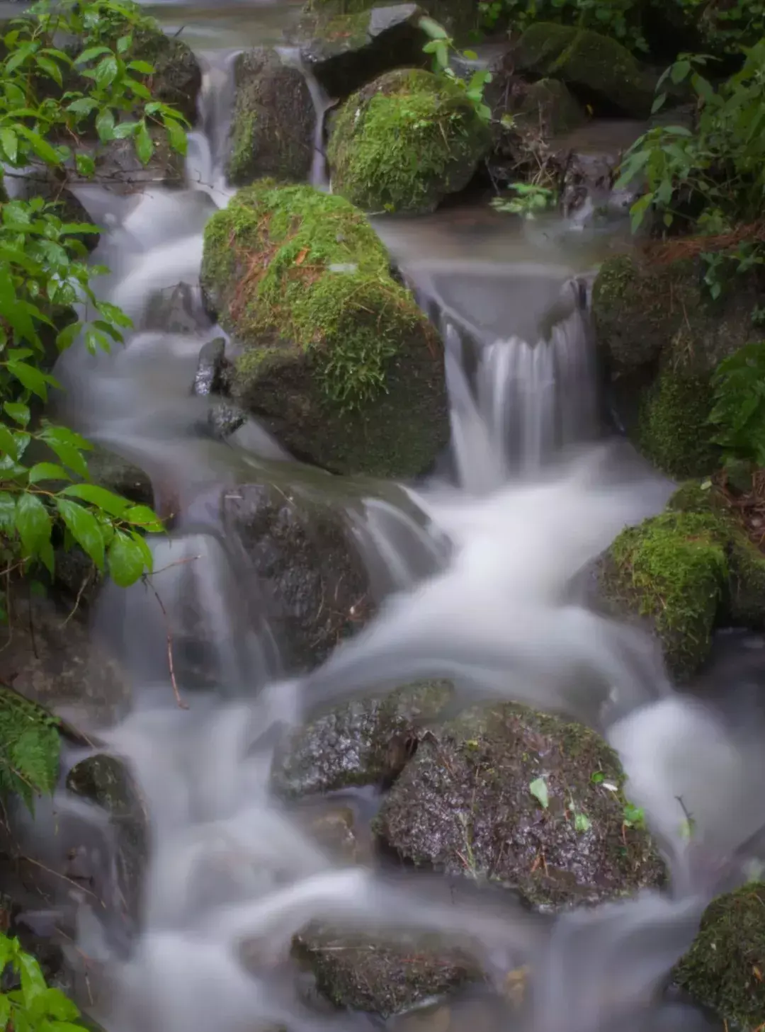 林中小溪——邵长武(图2)