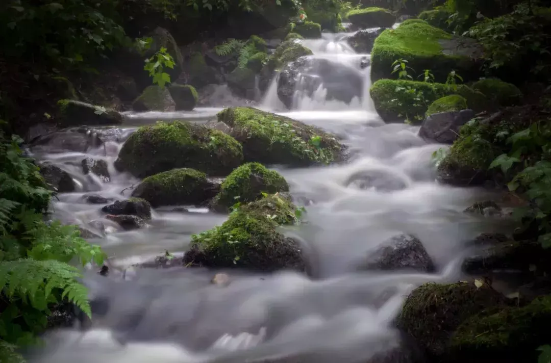 林中小溪——邵长武(图8)