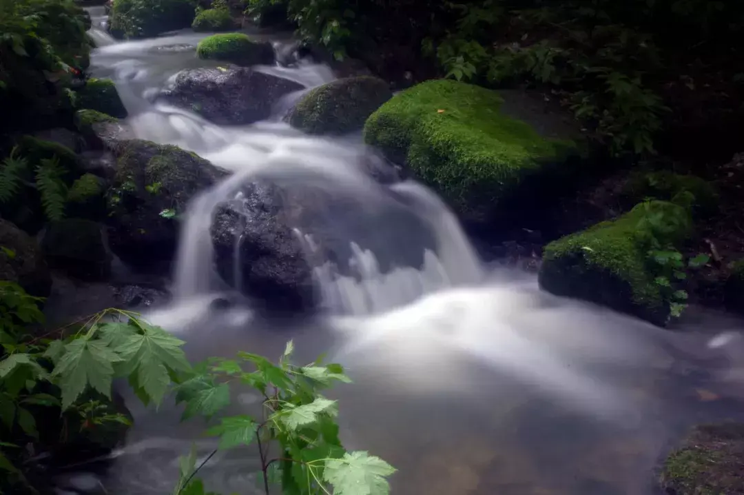 林中小溪——邵长武(图11) 林中小溪——邵长武(图11)