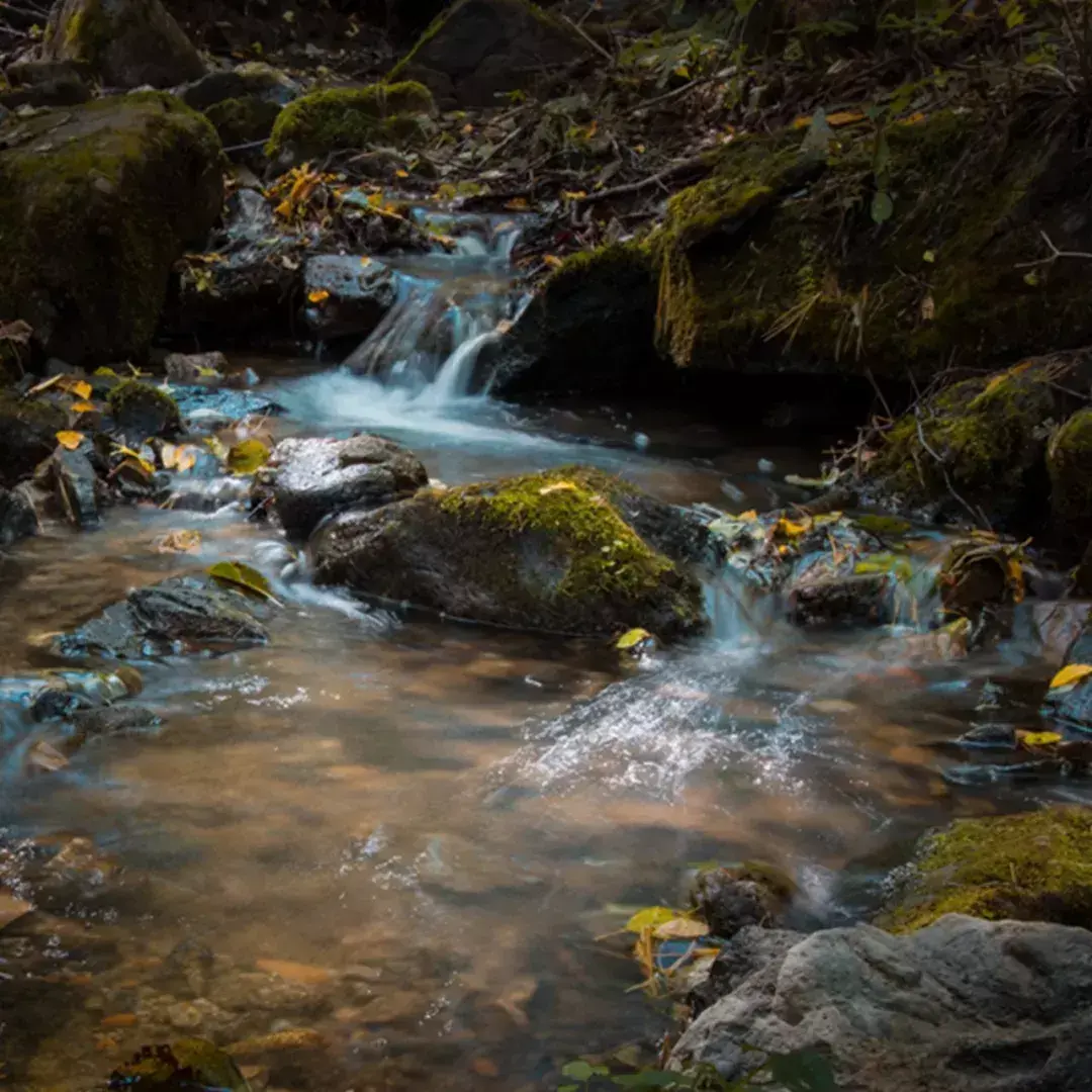 林中小溪——邵长武(图13)