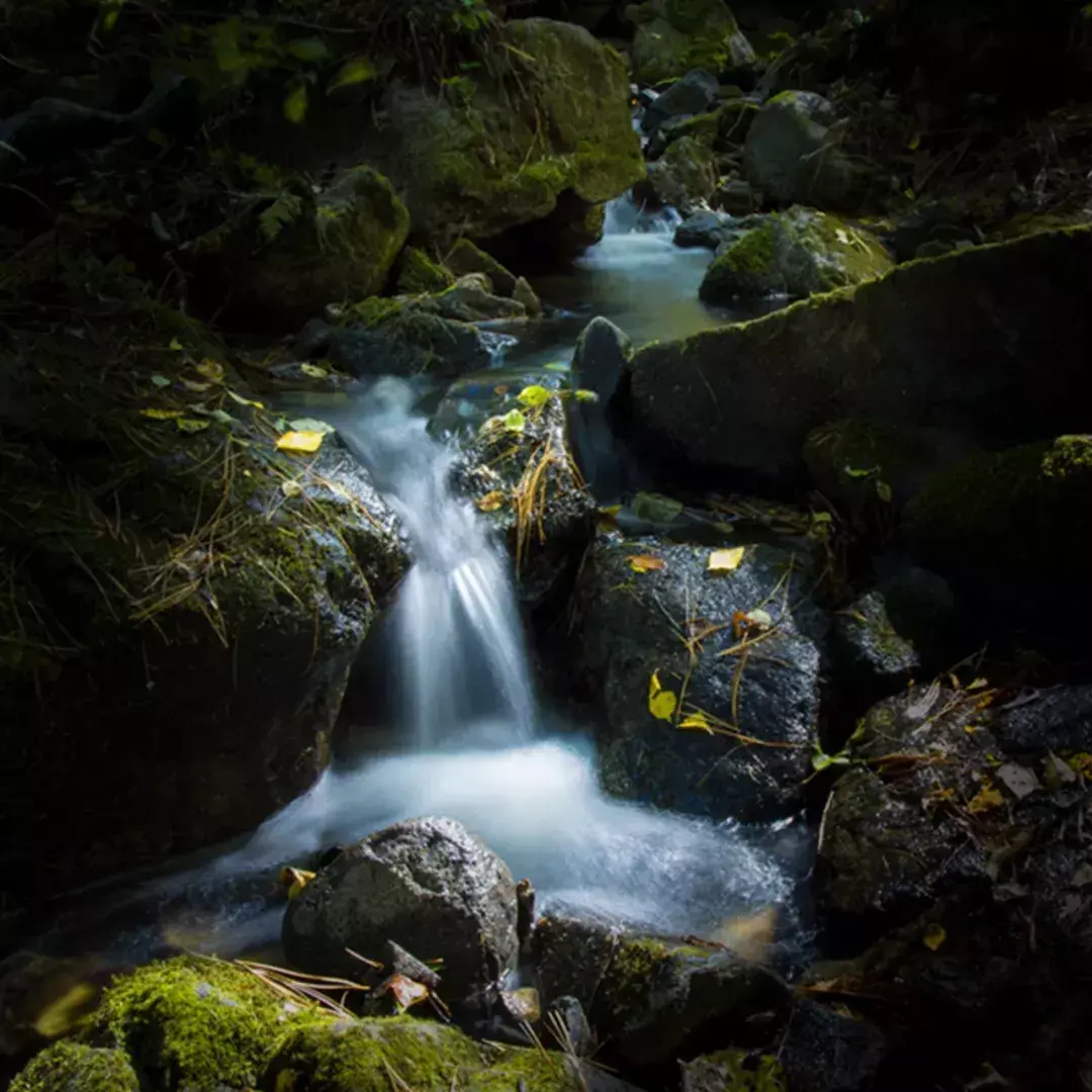 林中小溪——邵长武(图15)