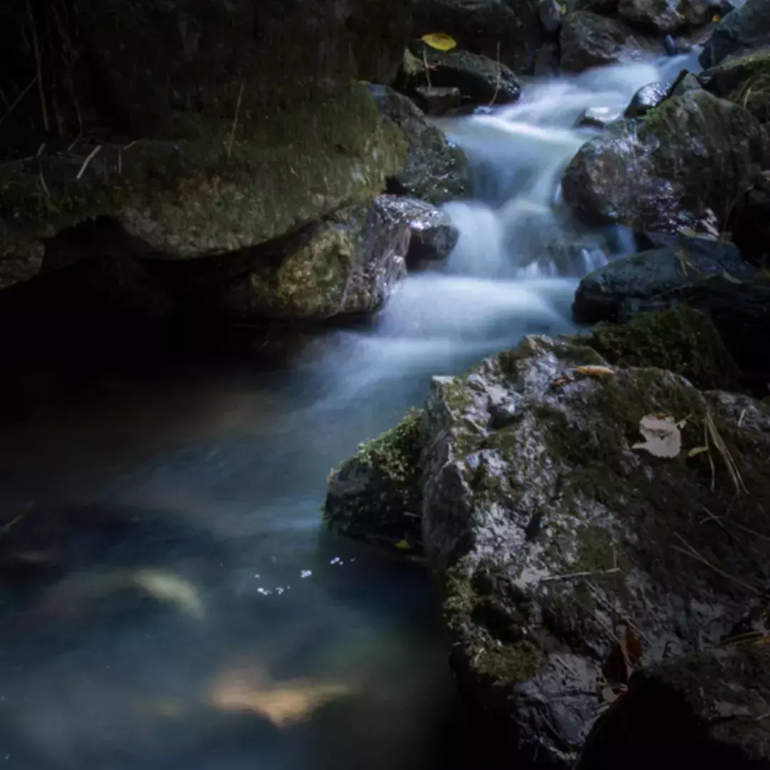 林中小溪——邵长武(图16)