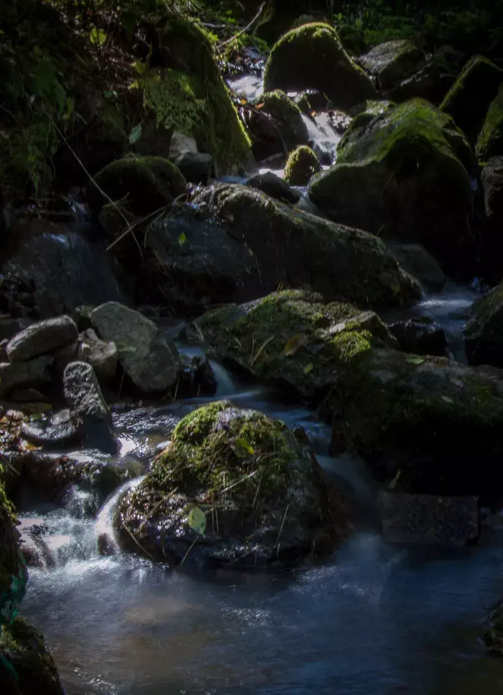 林中小溪——邵长武(图17)