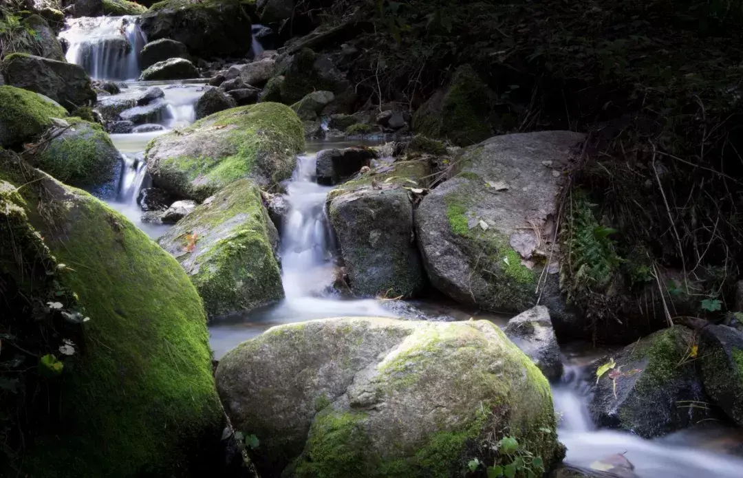 林中小溪——邵长武(图19)