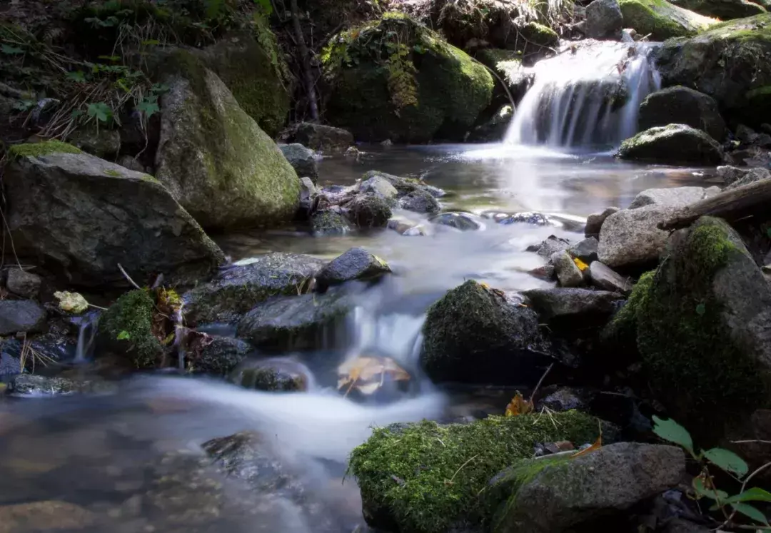林中小溪——邵长武(图20)