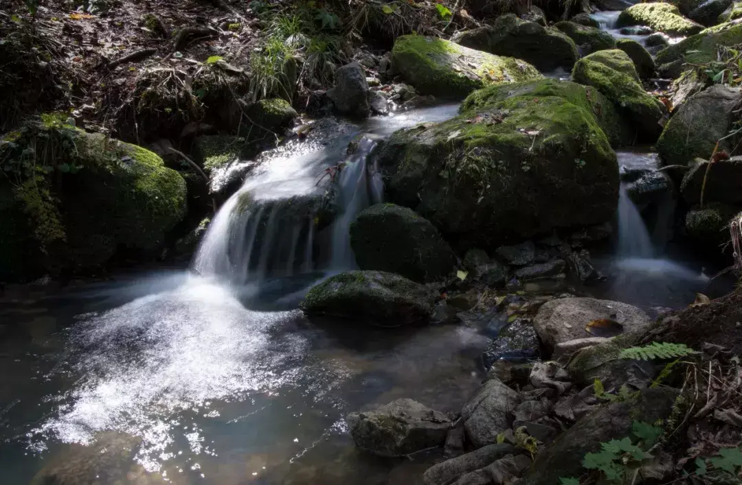 林中小溪——邵长武(图21)