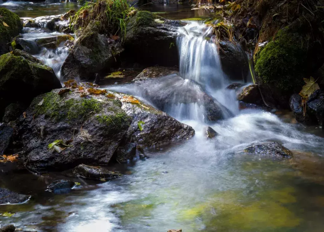 林中小溪——邵长武(图24)