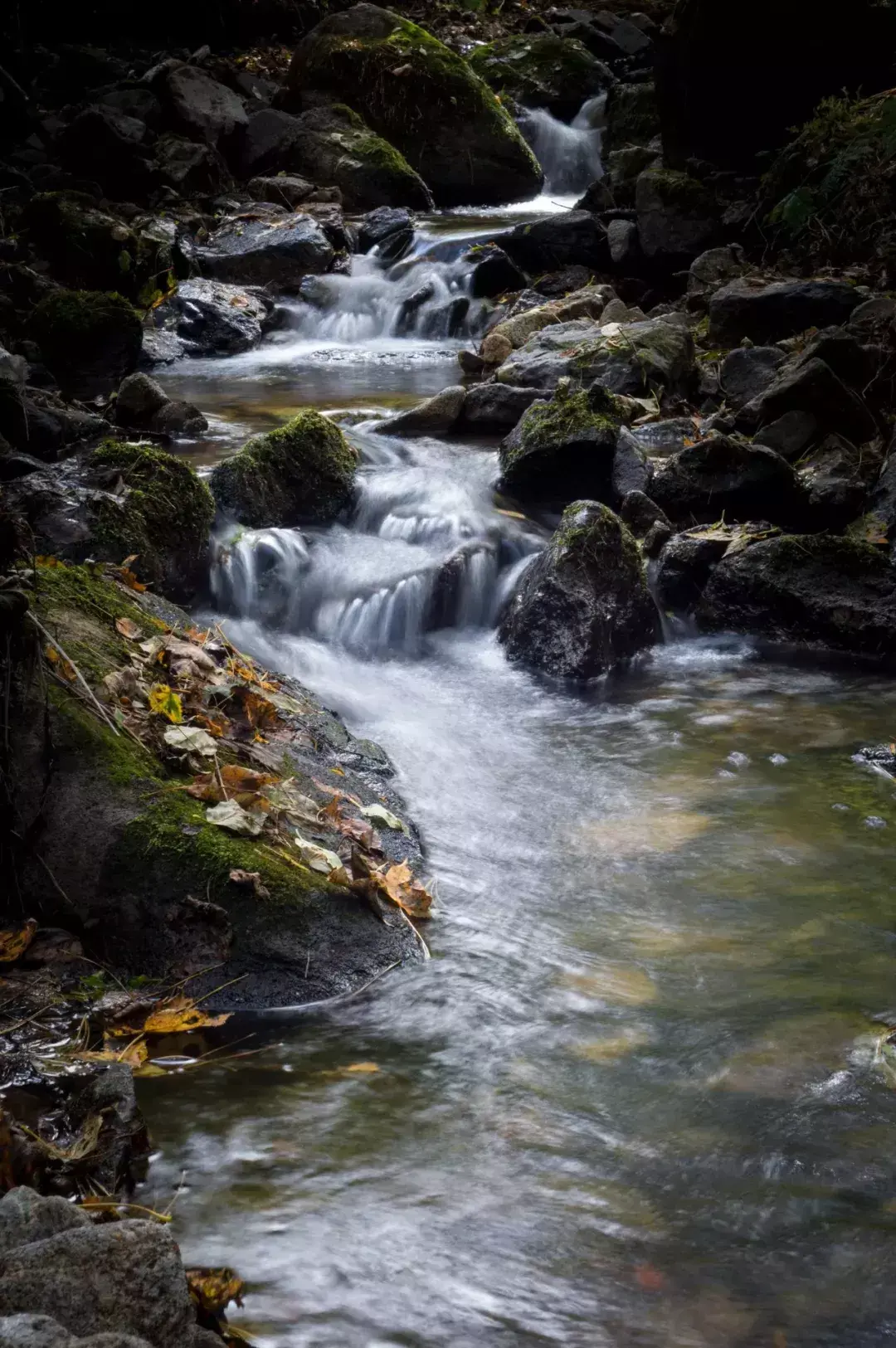 林中小溪——邵长武(图25)