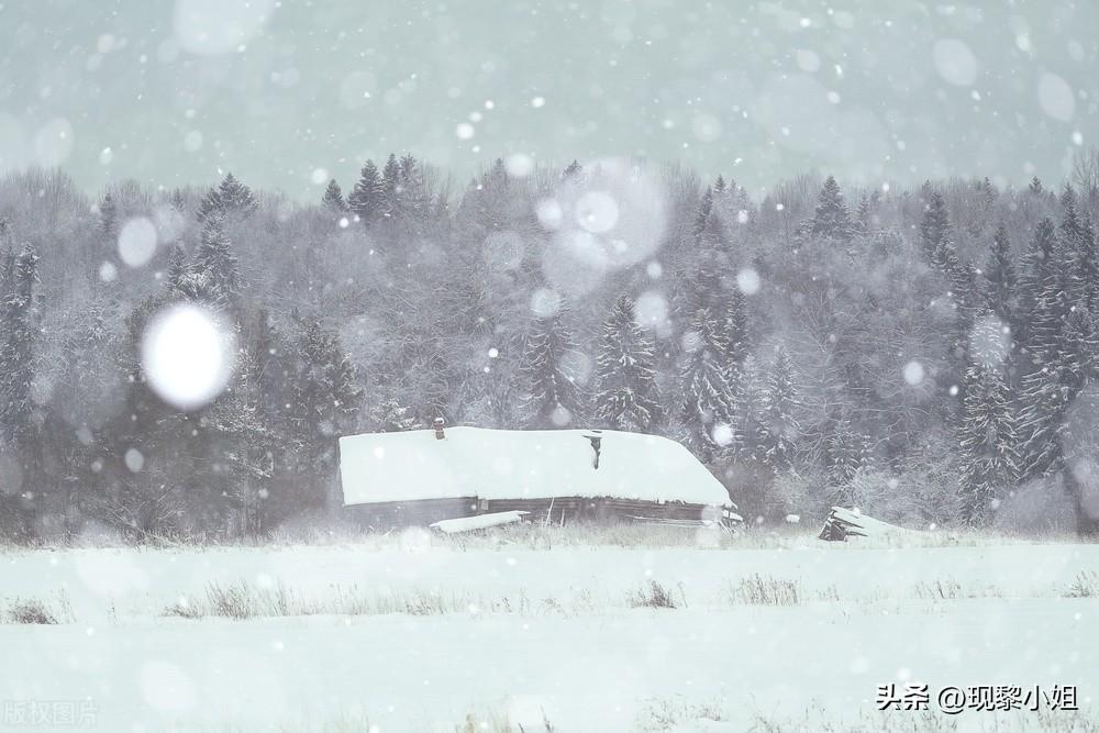 适合下雪天发朋友圈的绝美文案句子(图4)