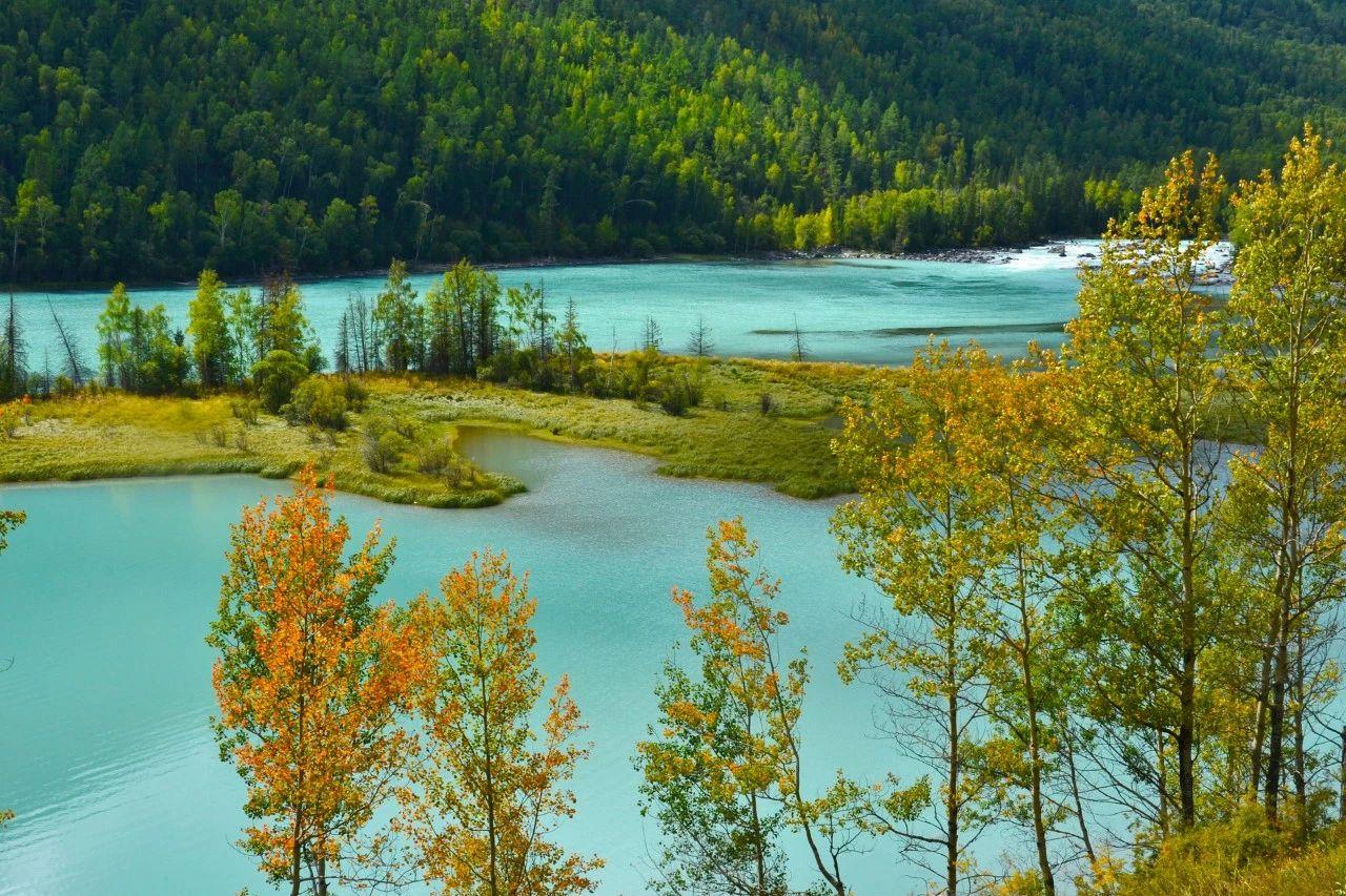 30句绚丽秋日诗词，枫叶红，落叶黄，正是清秋好风光(图6)