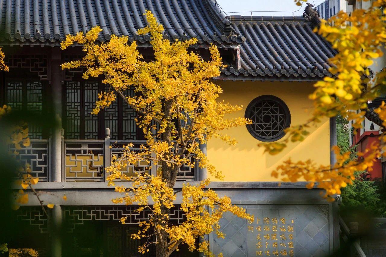 30句绚丽秋日诗词，枫叶红，落叶黄，正是清秋好风光(图7)