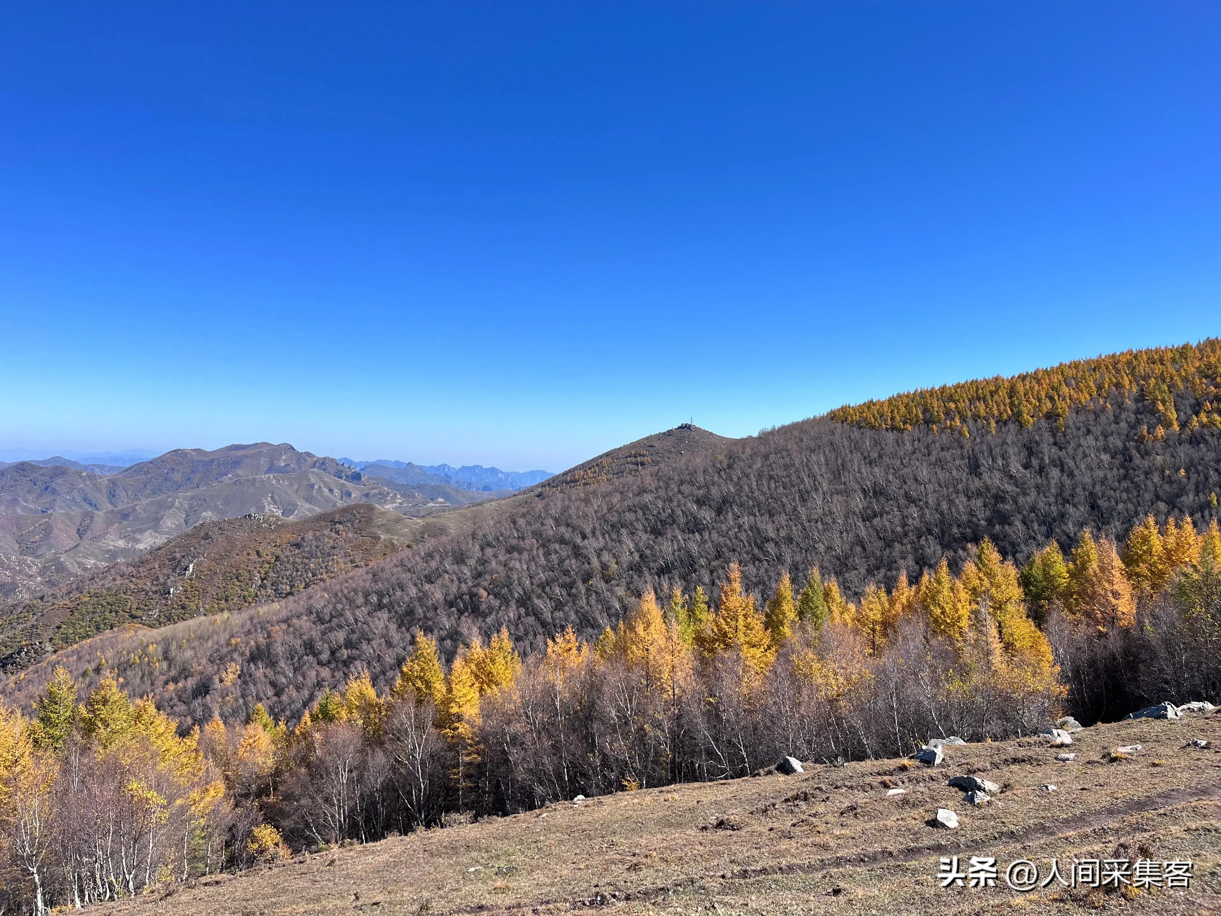 十首关于落叶的唯美诗词，每一首都穿越了岁月，温暖了时光(图1)