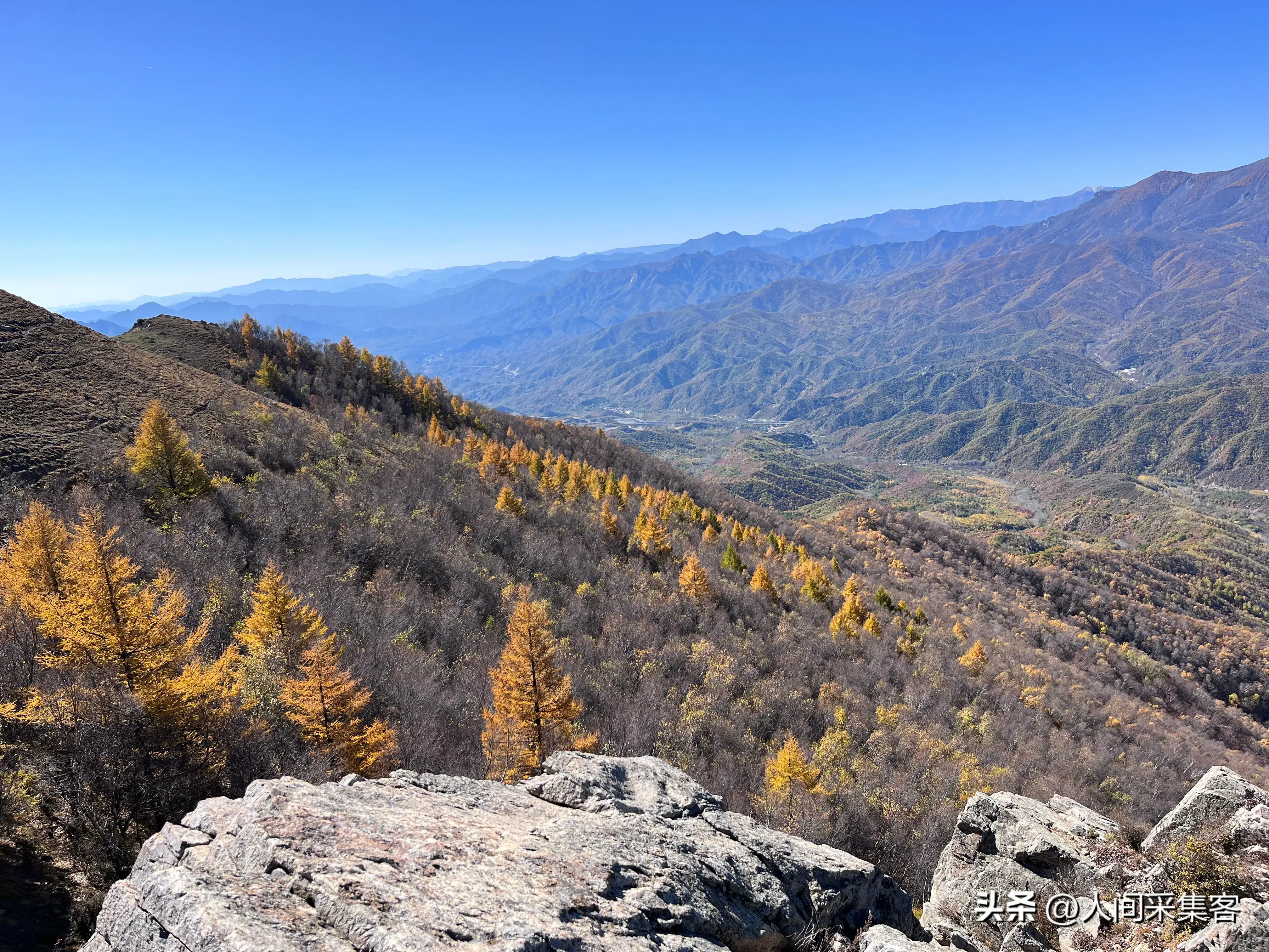 十首关于落叶的唯美诗词，每一首都穿越了岁月，温暖了时光(图2)