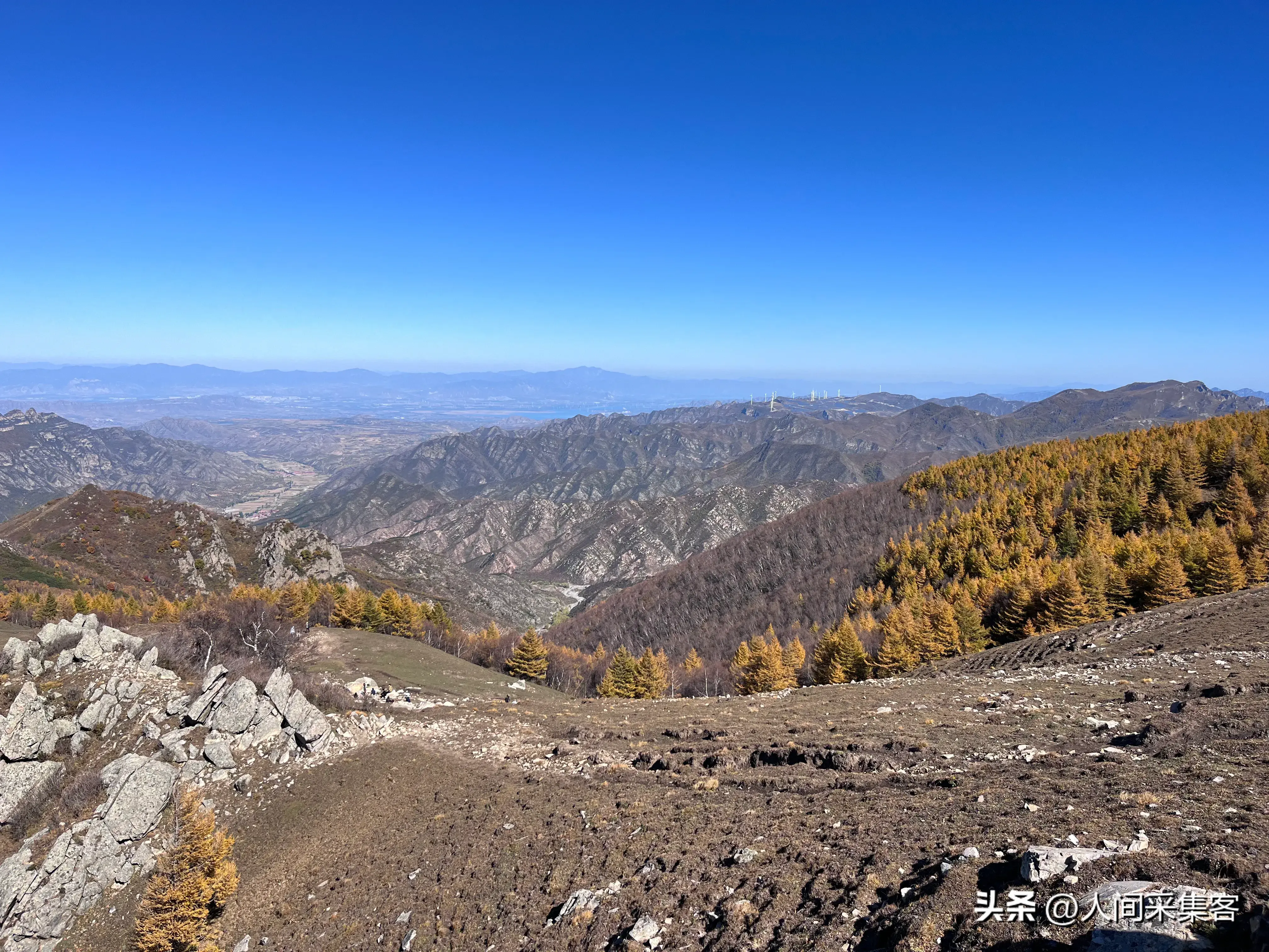 十首关于落叶的唯美诗词，每一首都穿越了岁月，温暖了时光(图4)